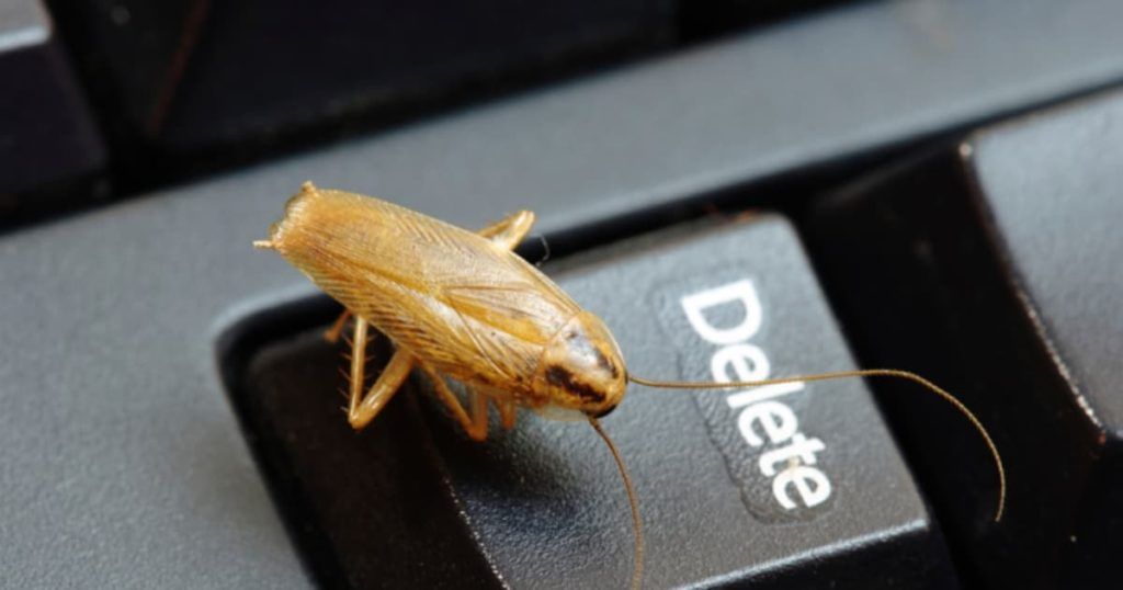 Уничтожение тараканов в офисе в Уфе